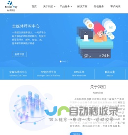 上海柏维信息技术有限公司